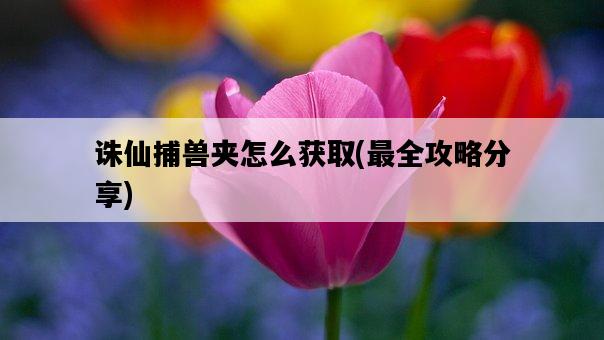 誅仙捕獸夾怎么獲取，最全攻略分享-圖1