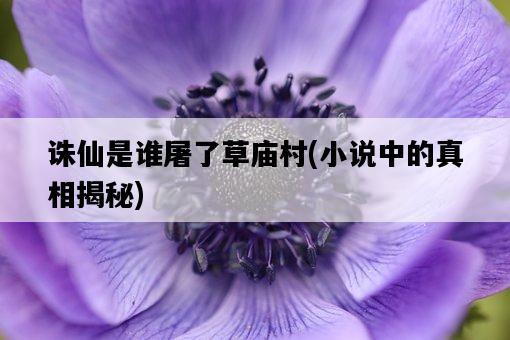 誅仙是誰屠了草廟村，小說中的真相揭秘-圖1