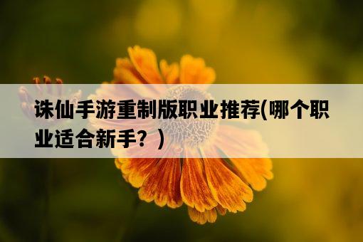 誅仙手游重制版職業推薦，哪個職業適合新手？-圖1