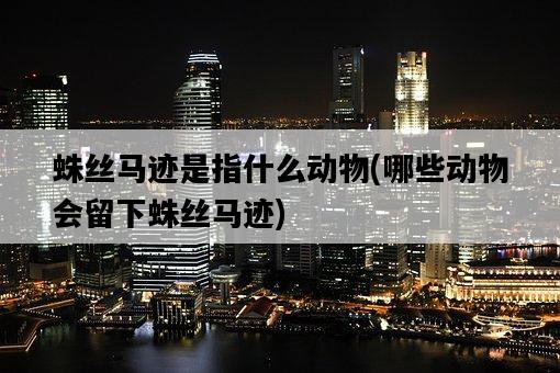 蛛絲馬跡是指什么動物，哪些動物會留下蛛絲馬跡-圖1
