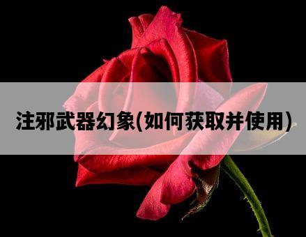 注邪武器幻象，如何獲取并使用-圖1