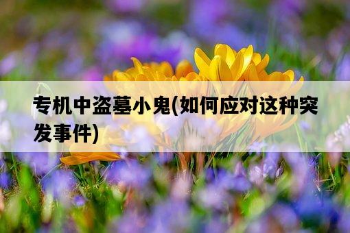 專機中盜墓小鬼，如何應對這種突發**-圖1