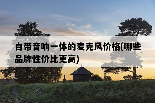 自帶音響一體的麥克風價格，哪些品牌性價比更高-圖1