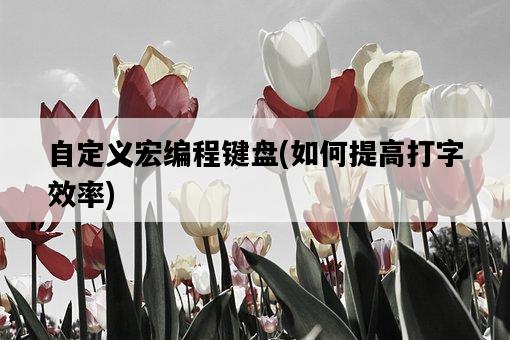 自定義宏編程鍵盤，如何提高打字效率-圖1