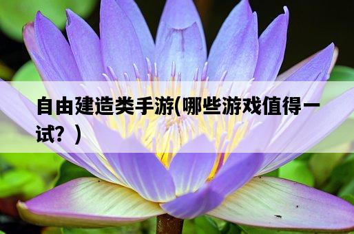 自由建造類手游，哪些游戲值得一試？-圖1