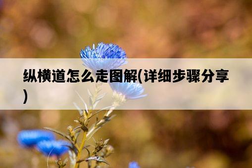 縱橫道怎么走圖解,詳細步驟分享-圖1 縱橫道怎么走圖解,詳細步驟分享-圖1