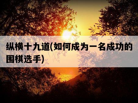 縱橫十九道，如何成為一名成功的圍棋選手-圖1