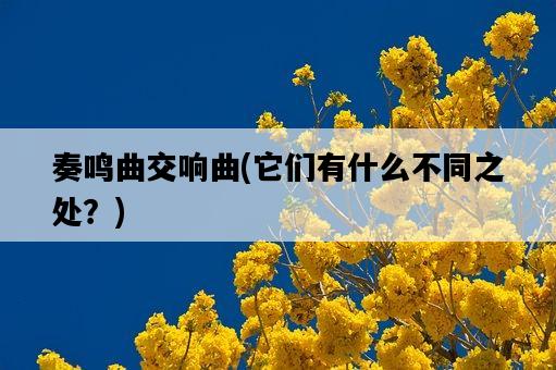 奏鳴曲交響曲，它們有什么不同之處？-圖1