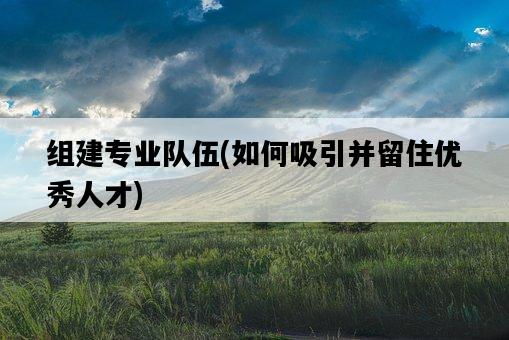 組建專業隊伍，如何吸引并留住優秀人才-圖1