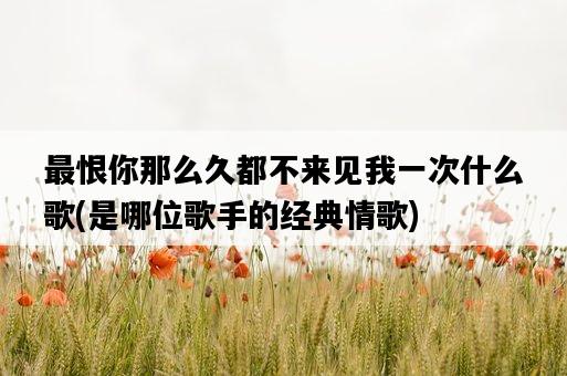 最恨你那么久都不來見我一次什么歌，是哪位歌手的經典情歌-圖1