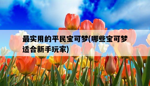 最實用的平民寶可夢，哪些寶可夢適合新手玩家-圖1