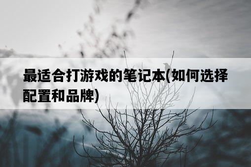最適合打游戲的筆記本，如何選擇配置和品牌-圖1