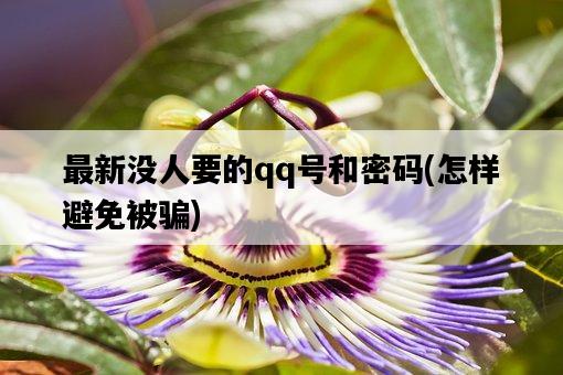 最新沒人要的qq號和密碼，怎樣避免被騙-圖1