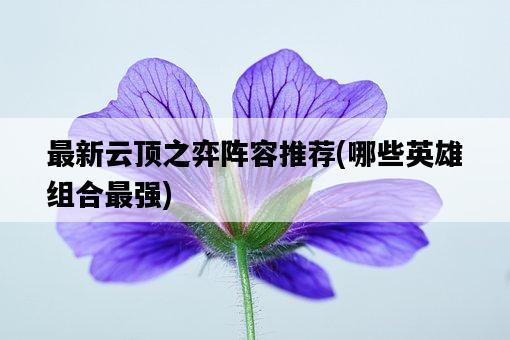 最新云頂之弈陣容推薦，哪些英雄組合最強-圖1