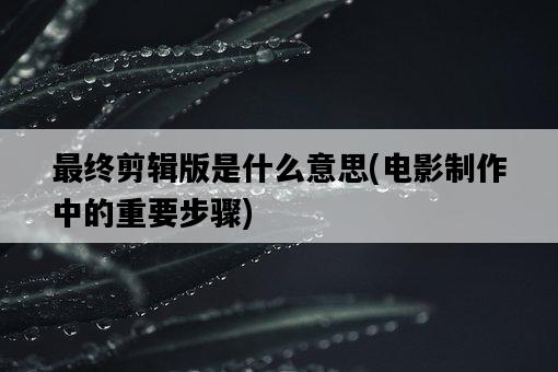 最終剪輯版是什么意思，電影制作中的重要步驟-圖1