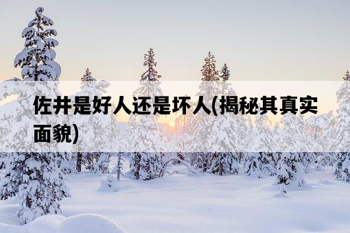 佐井是好人還是壞人，揭秘其真實面貌-圖1