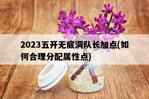 2023五開無底洞隊長加點，如何合理分配屬性點-圖1