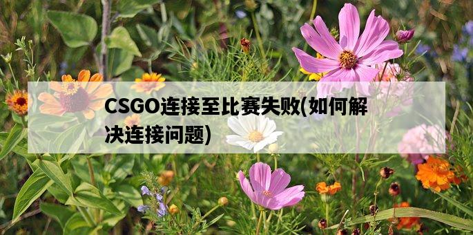 CSGO連接至比賽失敗，如何解決連接問題-圖1