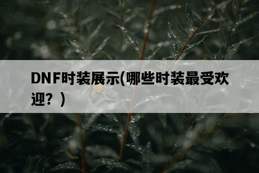 DNF時裝展示，哪些時裝最受歡迎？-圖1