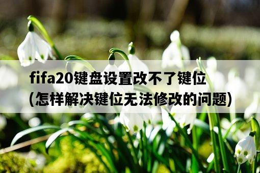 fifa20鍵盤設置改不了鍵位，怎樣解決鍵位無法修改的問題-圖1