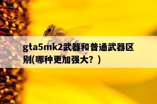 gta5mk2武器和普通武器區別，哪種更加強大？-圖1