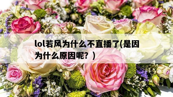 lol若風為什么不直播了，是因為什么原因呢？-圖1