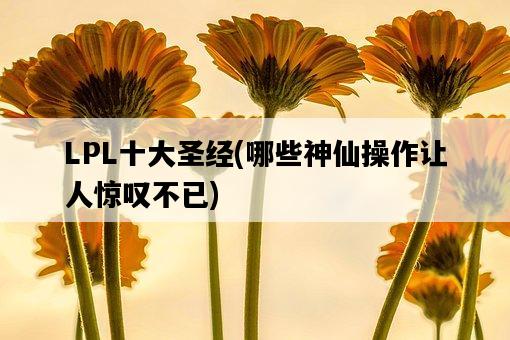 LPL十大圣經,哪些神仙操作讓人驚嘆不已-圖1 LPL十大圣經,哪些神仙操作讓人驚嘆不已-圖1