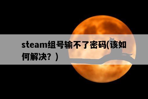 steam組號輸不了密碼，該如何解決？-圖1