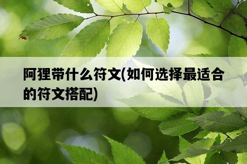 阿貍帶什么符文，如何選擇最適合的符文搭配-圖1
