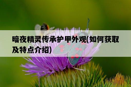暗夜精靈傳承護甲外觀，如何獲取及特點介紹-圖1
