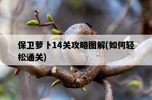 保衛蘿卜14關攻略圖解，如何輕松通關-圖1