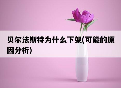 貝爾法斯特為什么下架，可能的原因分析-圖1