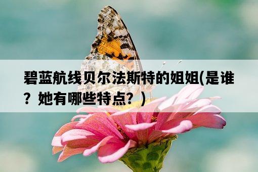 碧藍航線貝爾法斯特的姐姐，是誰？她有哪些特點？-圖1