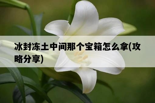 冰封凍土中間那個寶箱怎么拿，攻略分享-圖1
