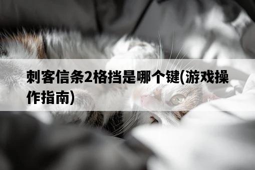刺客信條2格擋是哪個鍵，游戲操作指南-圖1
