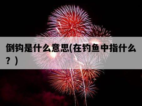 倒鉤是什么意思，在釣魚中指什么？-圖1