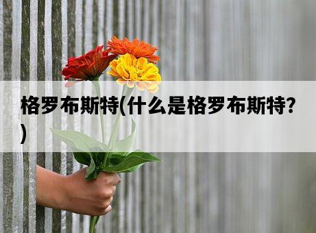 格羅布斯特，什么是格羅布斯特？-圖1