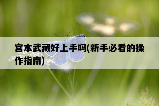 宮本武藏好上手嗎，新手必看的操作指南-圖1