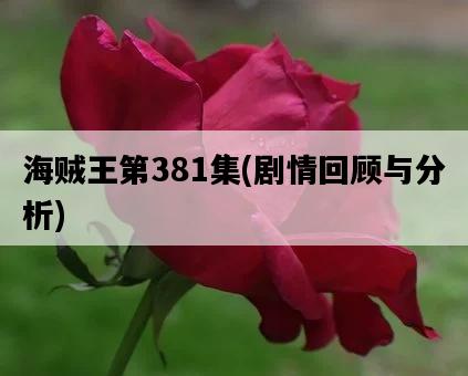 海賊王第381集，劇情回顧與分析-圖1