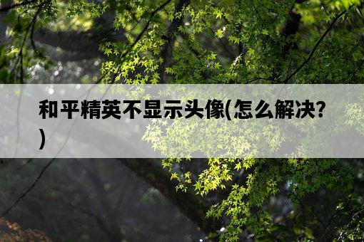 和平精英不顯示頭像，怎么解決？-圖1