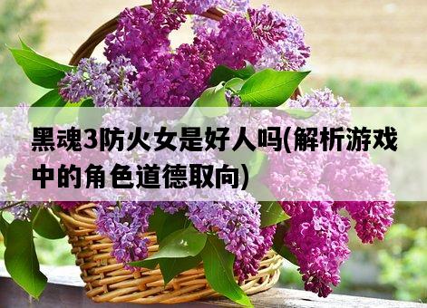 黑魂3防火女是好人嗎，解析游戲中的角色道德取向-圖1