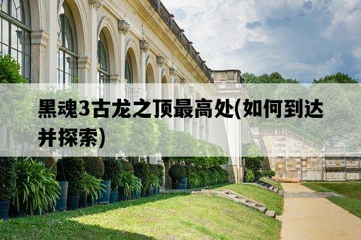 黑魂3古龍之頂最高處，如何到達并探索-圖1