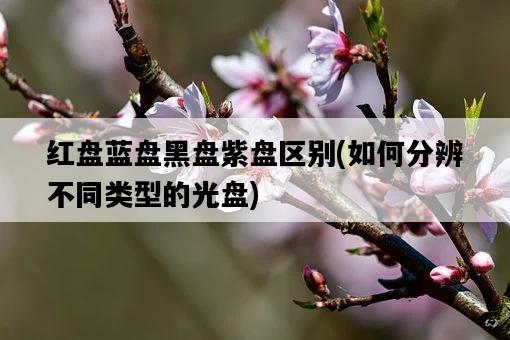 紅盤藍盤黑盤紫盤區別，如何分辨不同類型的光盤-圖1