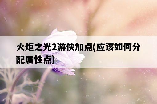 火炬之光2游俠加點，應該如何分配屬性點-圖1