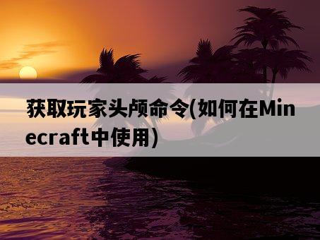 獲取玩家頭顱命令，如何在Minecraft中使用-圖1