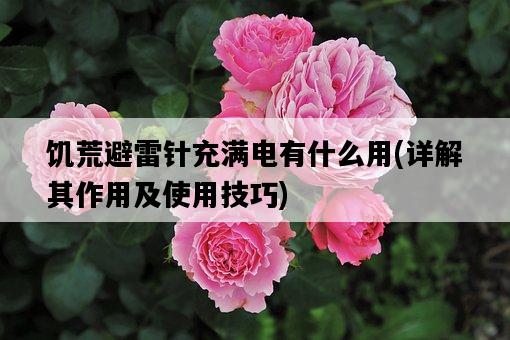 饑荒避雷針充滿電有什么用，詳解其作用及使用技巧-圖1