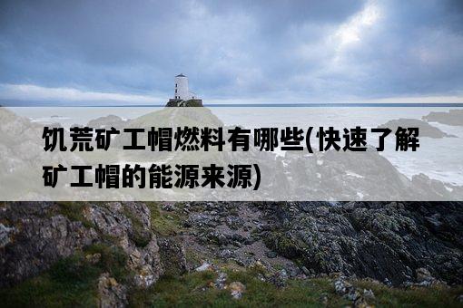 饑荒礦工帽燃料有哪些,快速了解礦工帽的能源來源-圖1 饑荒礦工帽燃料有哪些,快速了解礦工帽的能源來源-圖1