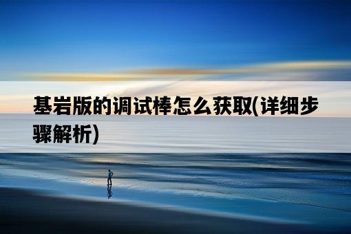 基巖版的調試棒怎么獲取，詳細步驟解析-圖1