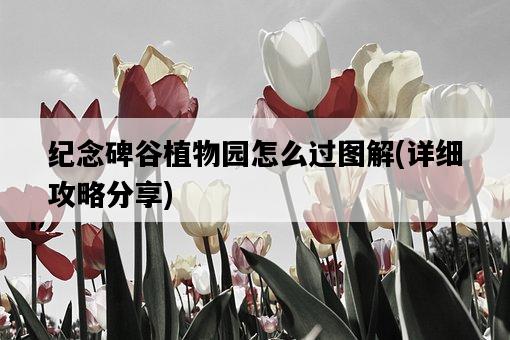 紀念碑谷植物園怎么過圖解，詳細攻略分享-圖1