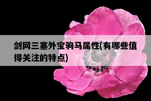劍網三塞外寶駒馬屬性，有哪些值得關注的特點-圖1